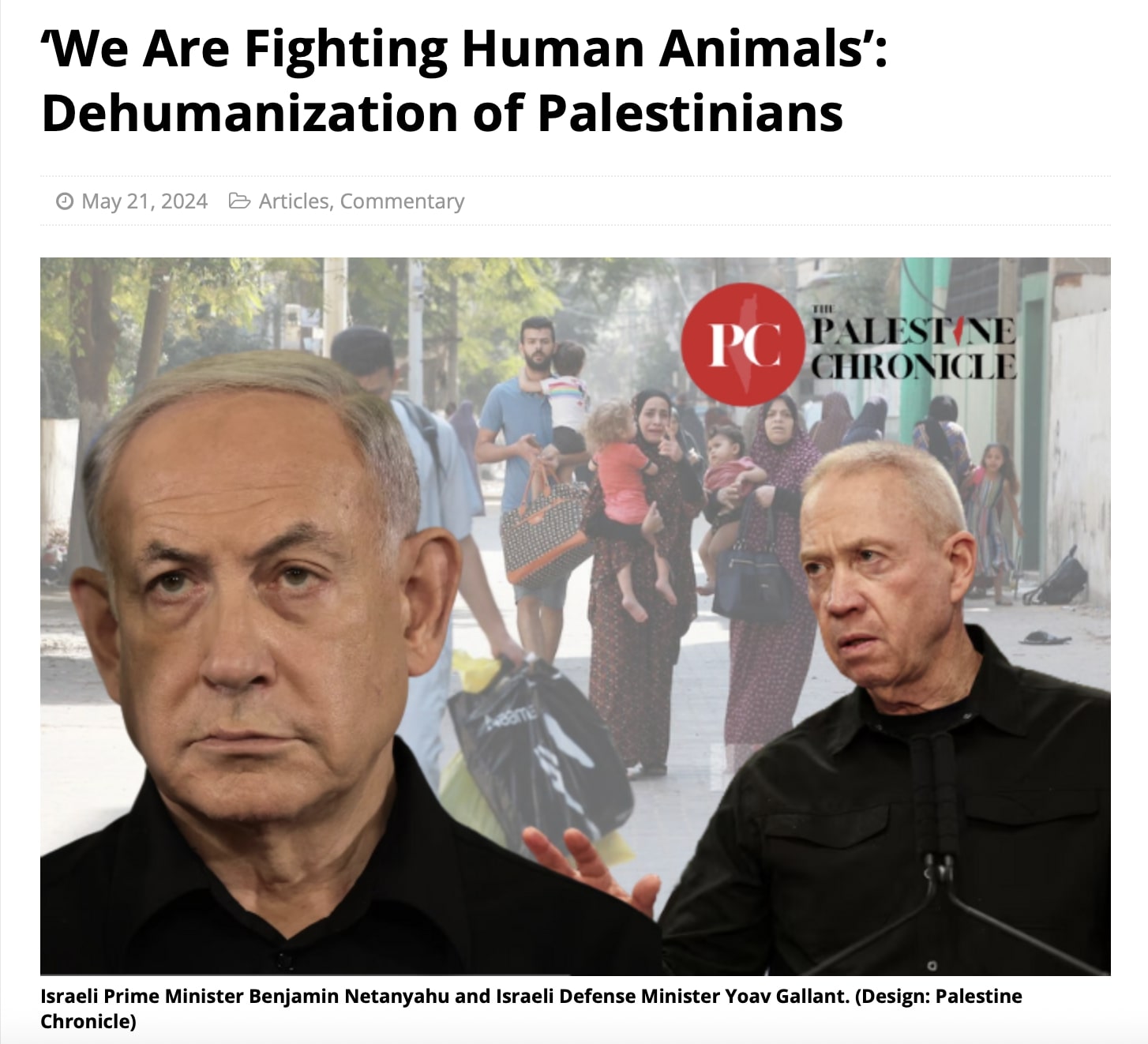 Screenshot from The Palestine Chronicle