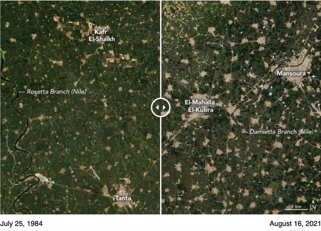 Satellite image showing loss of farmland in the Egyptian Delta