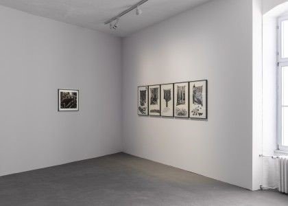 Gabisile Nkosi installation view