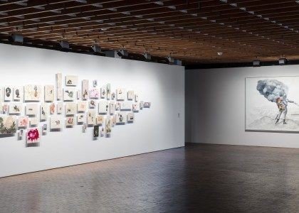 Firelei Báez work detail