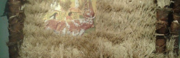 Ahmed Abdel Kareem Plant your wheat O Egyptian